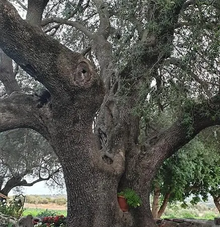 בית חווה Su Barcu *