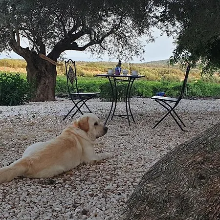 Su Barcu בית חווה *